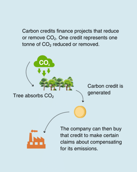 Carbon credits bild