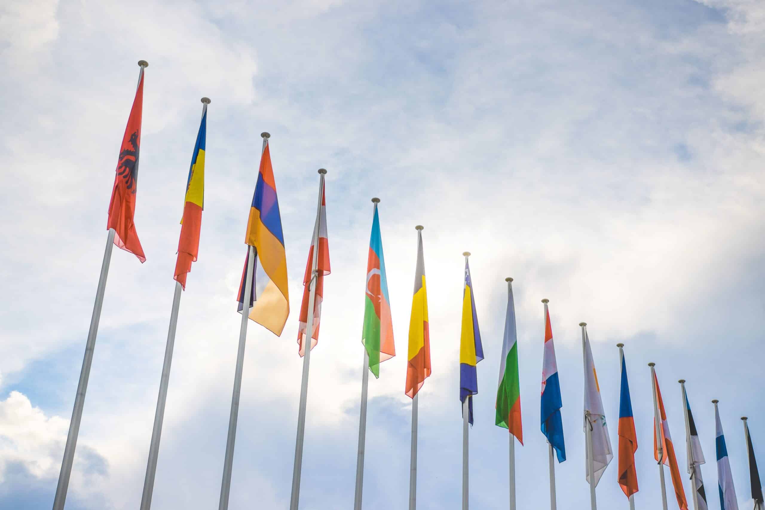 dusan_cvetanovic-council-of-europe-7182675